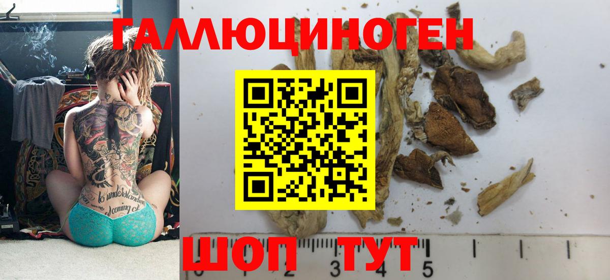 Усинск  Псилоцибиновые грибы Cubensis  Псилоцибиновые грибы Magic Shrooms  Вход с VPN 