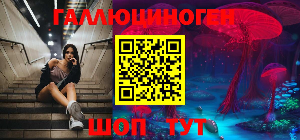 Галлюциногенные грибы Cubensis Усинск